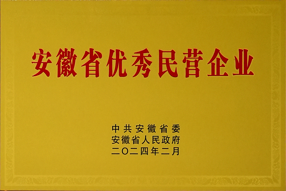 豪家股份榮獲“安徽省百名優(yōu)秀民營(yíng)企業(yè)”稱號(hào)